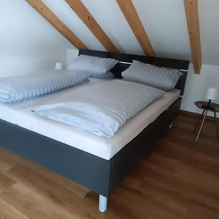 Weinrebenblick Maikammer